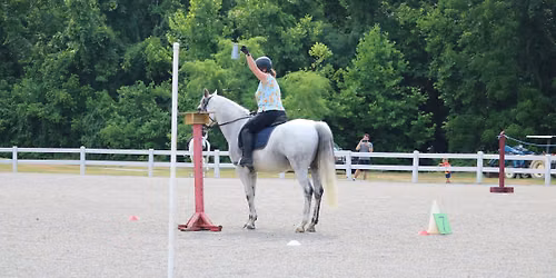 2026 Working Equitation Schooling Shows