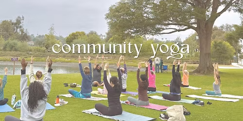 community yoga in the park