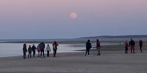 CraneOutdoors: Dunes by the Light of the Full Moon
