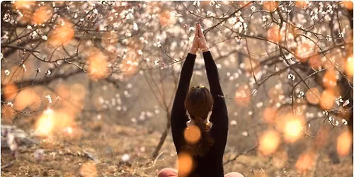 SPRING SERENITY SEASONAL RESET - Yin and Pin Session
