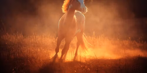 Tanec KON\u011a v ROCE OHNIV\u00c9HO KON\u011a s Michaelou Petersen - POSLEDN\u00cd 3 M\u00cdSTA!