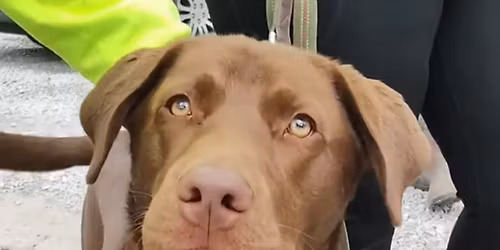 Pipesville & Hope Fishing Access Cleanup 