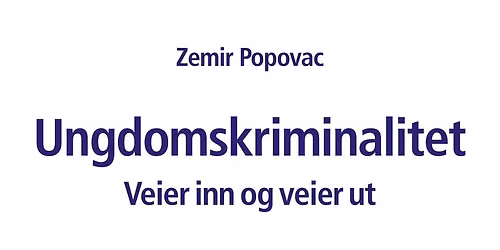 L\u00f8rdagselva: Den provoserende ungdomskriminaliteten.