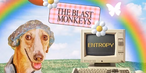 The Box Cutters | The Blast Monkeys | Entropy