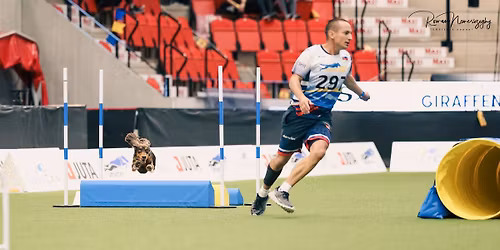 Letn\u00fd t\u00e1bor Handlov\u00e1