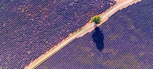 Kellogg Sustainability Exchange 2026
