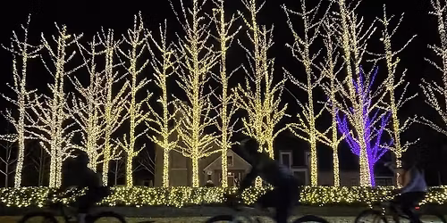 Christmas Light Tour Ride