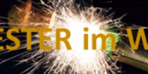 \ud83e\udd42SILVESTER feiern im WALD\ud83c\udf32Wintergarten beim Michel in Hayna \ud83d\udcab