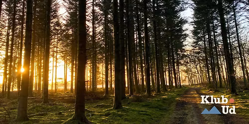 Vandretur \u2013 Thy Tved Klitplantage 14 km