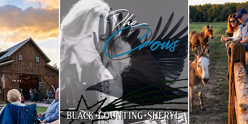 The Crows: Tribute to Counting Crows, Sheryl Crow & Black Crowes | Anna, TX