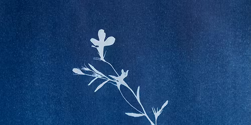 SYANOTYPIAKURSSIT KES\u00c4LL\u00c4 ANNALASSA