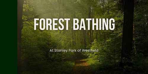 Forest Bathing in the Wildlife Sanctuary