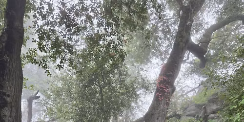 \u203c\ufe0fLocation Change\u203c\ufe0f Summer nature immersion.