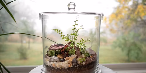 Vintage Czech Glass Terrarium Workshop