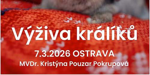 P\u0159edn\u00e1\u0161ka, kter\u00e1 t\u011b nahlod\u00e1: V\u00fd\u017eiva kr\u00e1l\u00edk\u016f