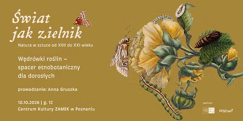 W\u0119dr\u00f3wki ro\u015blin \u2013 spacer etnobotaniczny dla doros\u0142ych | \u015aWIAT JAK ZIELNIK