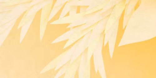 Texarkana Symphony Orchestra:  Christmas at the Perot - TSO Pops II