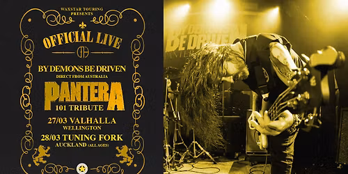 Pantera Tribute (AUS)