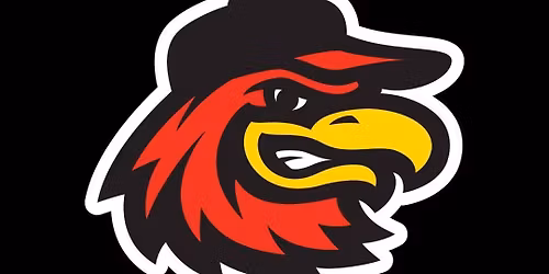 Rochester Red Wings vs. Buffalo Bisons