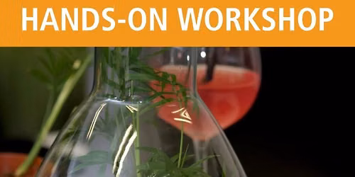 Toast to Terrariums