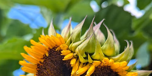 Gather Abundance