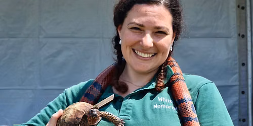 Meet Our Riveting Reptiles with Colleen Harrak