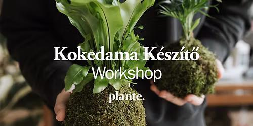 Kokedama K\u00e9sz\u00edt\u0151 Workshop \/ M\u00e1jus 10.