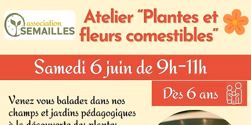 Atelier Plantes et fleurs comestibles 