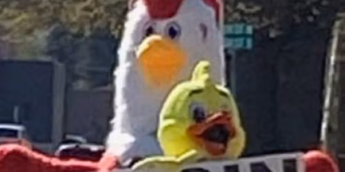 Chick Days at your feed store 