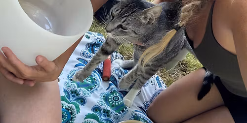 Beaver \ud83e\uddab Full Moon Movement & Sound