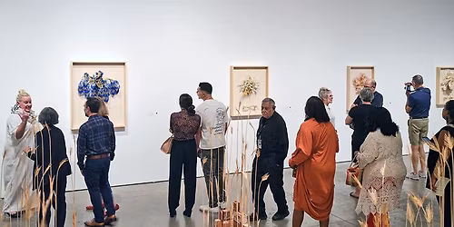 Spring Opening Celebration