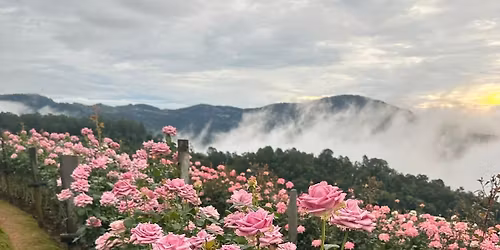 \u0e40\u0e0a\u0e35\u0e22\u0e07\u0e43\u0e2b\u0e21\u0e48 - \u0e25\u0e33\u0e1e\u0e39\u0e19 - \u0e25\u0e33\u0e1b\u0e32\u0e07 (\u2708\ufe0f \u0e1b\u0e35\u0e43\u0e2b\u0e21\u0e48 - \u0e40\u0e2b\u0e21\u0e32)