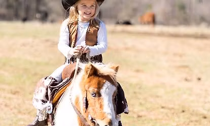 Ponies, Horses, Bounce House and Games! No Gate Fee!