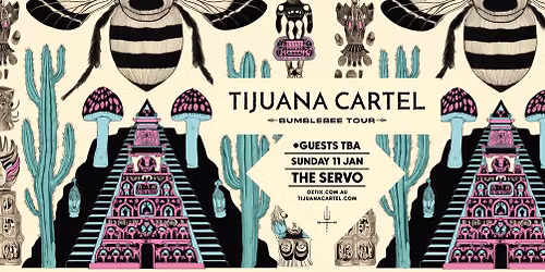 Tijuana Cartel \/\/ The Servo