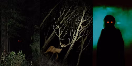 Appalachian Horror | Twickenham Writers