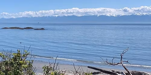 Meeting - Launch of Winter 2025 Island Writer Magazine