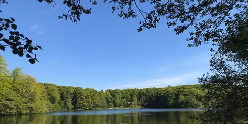 Pilgrimsvandring runt Gyllebosj\u00f6n