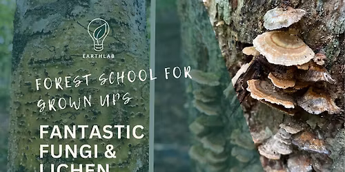Forest School for Grown Ups: Fantastic Fungi and Lichen