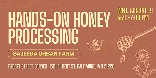 Hands-On Honey Processing
