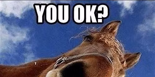 Unscheduled Dismounts: A falling and emergency dismount clinic