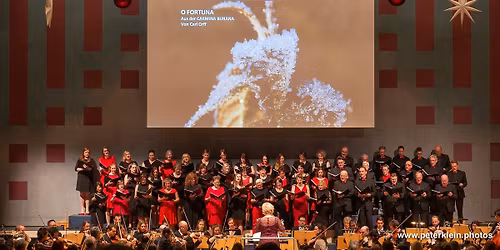 10 Jahre SingingWitt + Die Hofer Symphoniker