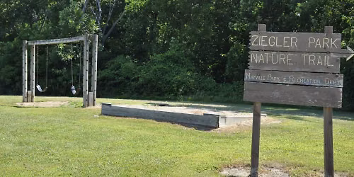 Birding Mayville\u2019s Ziegler Park