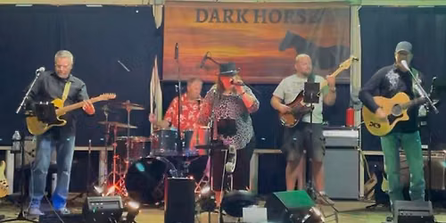Dark Horse public event 