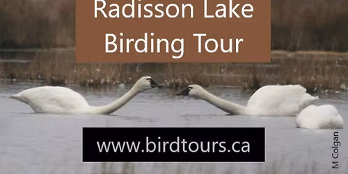Radisson Lake Birding Tour
