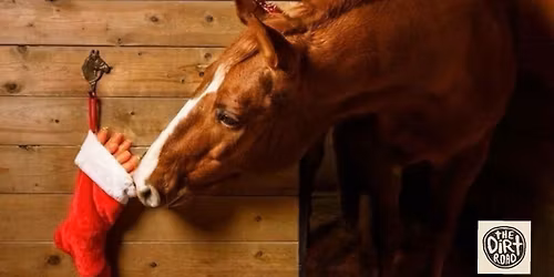 Hold your Horses.. it\u2019s almost Christmas 