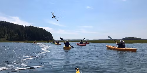 CraneOutdoors: Kayak Adventure on the Castle Neck River