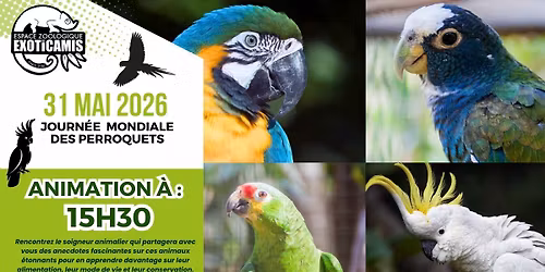 31 Mai 2026 - Journ\u00e9e mondiale des perroquets \u00e0 Exoticamis