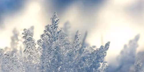 Winter Solstice Ritual and Celebration