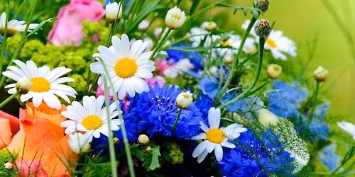 "The Wild Side of Beth Chatto's garden" with Dr Chris Gibson