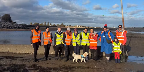 Big Rock Pool Challenge BioBlitz Battle: Shoeburyness